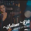 Ardiana Dili - Pash Dy Syt Ne Ball - Single